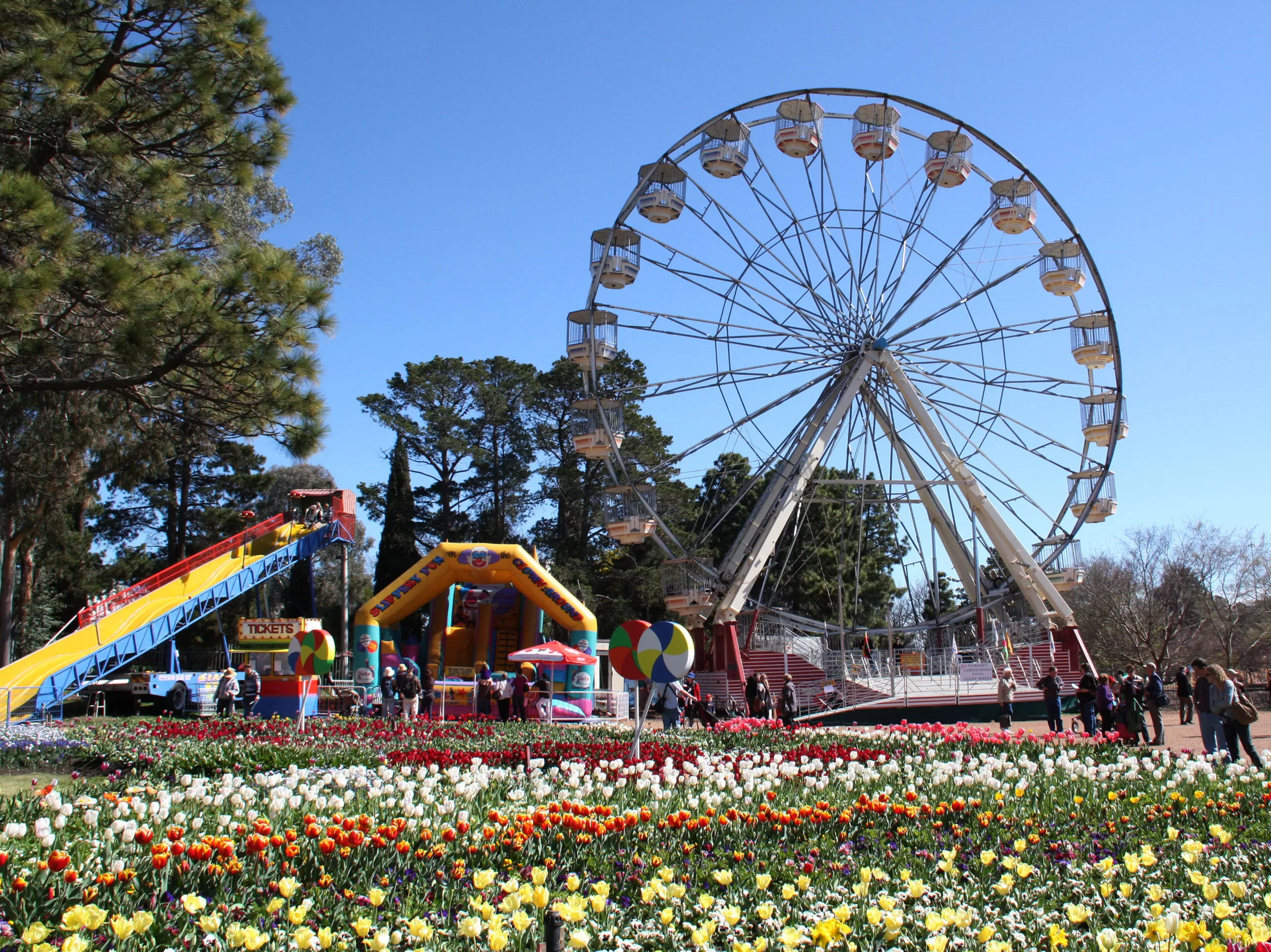 More than one million bulbs and annuals form Floriade